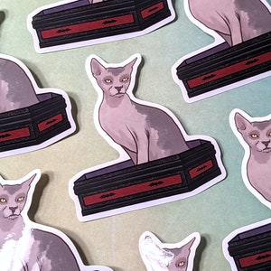 Peut inclure: Six autocollants représentant un chat Sphynx de dessin animé assis dans un cercueil avec des motifs de chauves-souris. Les cercueils sont noirs avec des bordures rouges et les chats sont gris avec des marques blanches.