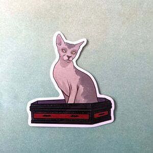 May include: A sticker featuring a grey hairless cat sitting in a black coffin with red trim and bat designs. The cat has yellow eyes and a serious expression.