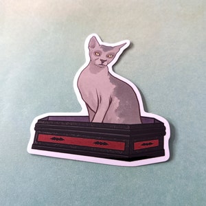 May include: A grey and white cat with yellow eyes sits in a black coffin with red trim and bat designs. The coffin is on a light blue background.