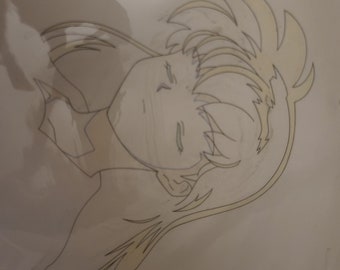 Inuyasha painting cel