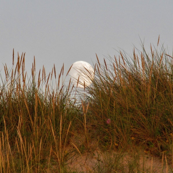 Coucher de Soleil & Lever de Lune - Lot de 2 photographies