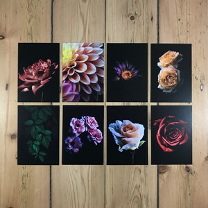 Pack of 8 Meditation Cards - Dark Flowers