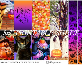 Trick Or Treat - PRINTABLE Photo Planner Bujo Sticker Sheet 5x7 - Halloween, Samhain, Spooky