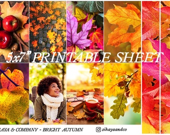 Bright Autumn - PRINTABLE Photo Planner Bujo Sticker Sheet 5x7 - Autumn Fall Aesthetic