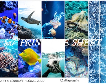 Coral Reef - PRINTABLE Photo Planner Bujo Sticker Sheet 5x7 - Tropical Ocean Sea