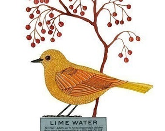 Könnte beinhalten: Aquarellillustration eines gelben Vogels mit orangefarbenen Flügeldarstellungen, der auf einem Schild mit der Aufschrift "LIME WATER" sitzt. Über dem Vogel befindet sich ein brauner Ast mit roten Beeren. Das Schild enthält auch den Text "UTTOJAFNEL PHARMACIST."