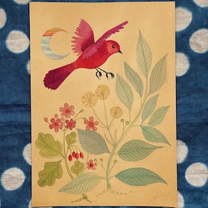 Red Bird watercolor original