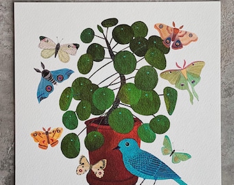Pilea giclee print