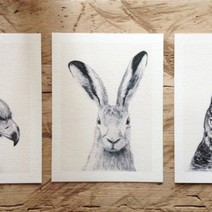 Animal Trio set by Daniel