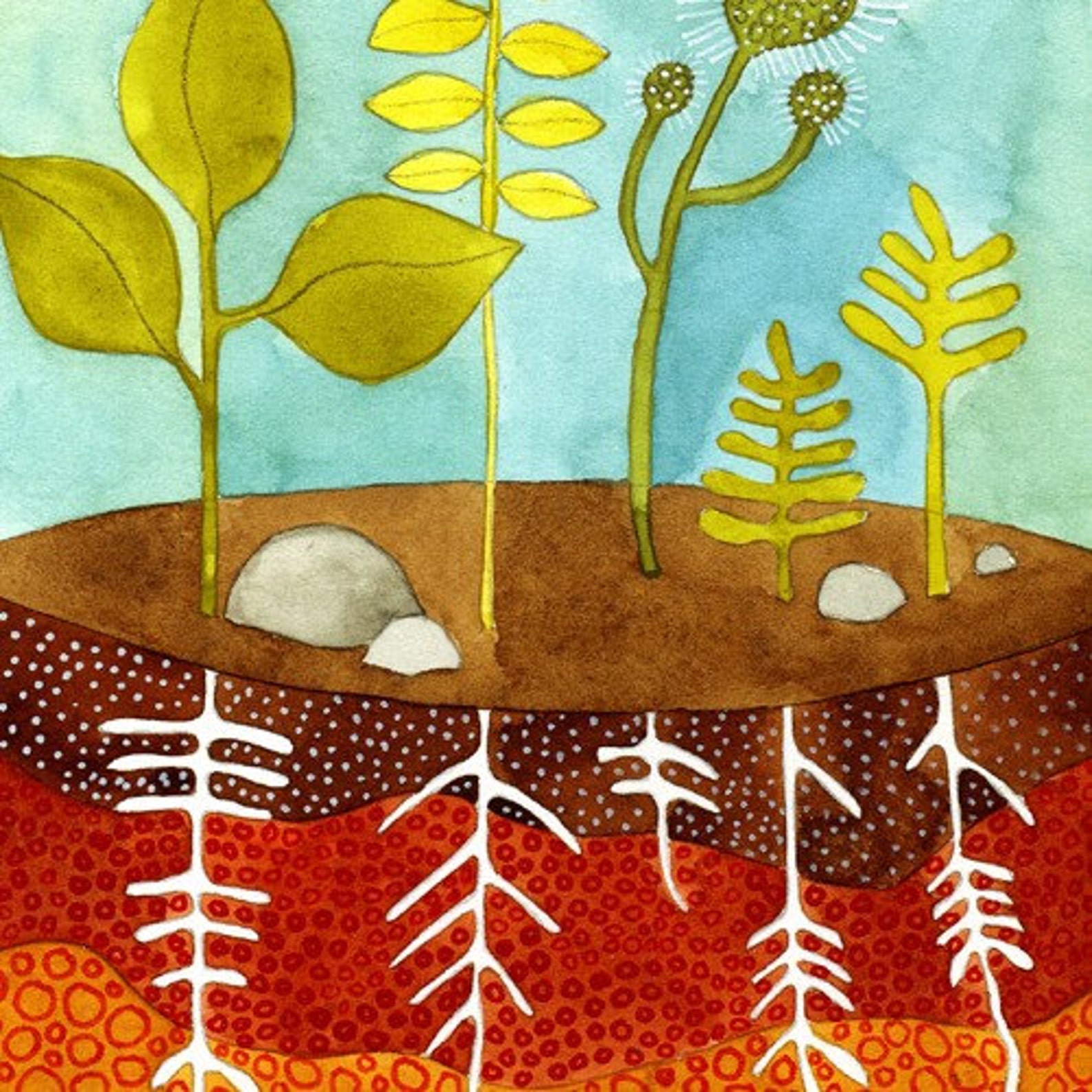 Terrarium Print - Etsy