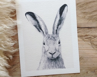 Hare by Daniel