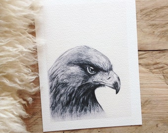 Eagle by Daniel