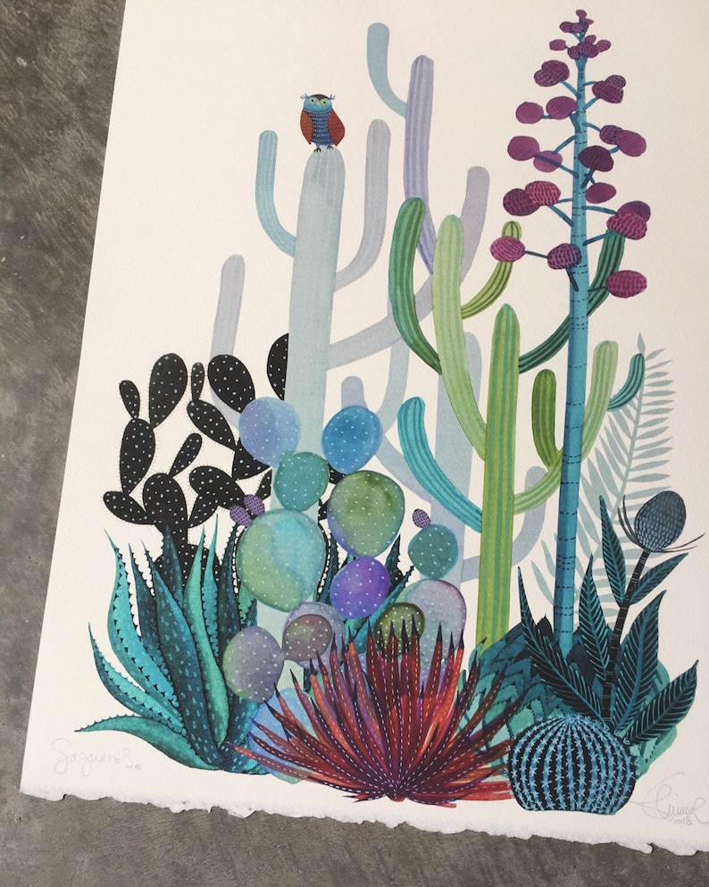 Saguaros