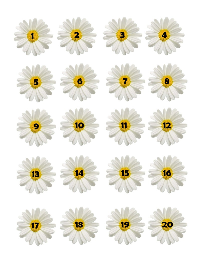 Printable Dates, Day of the week numbers, Calendar dates, Daisy flower, Collage Pintables image 2