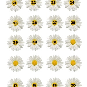 Printable Dates, Day of the week numbers, Calendar dates, Daisy flower, Collage Pintables image 3