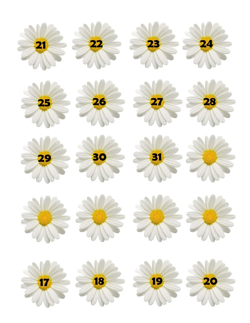 Printable Dates, Day of the week numbers, Calendar dates, Daisy flower, Collage Pintables image 3