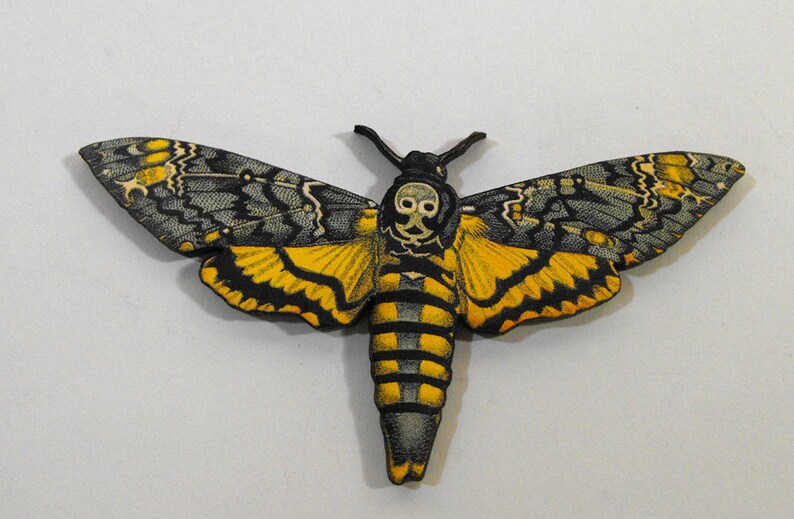 8 Wooden Death Head Moths Collection of Laser Cut Wood Art Etsy