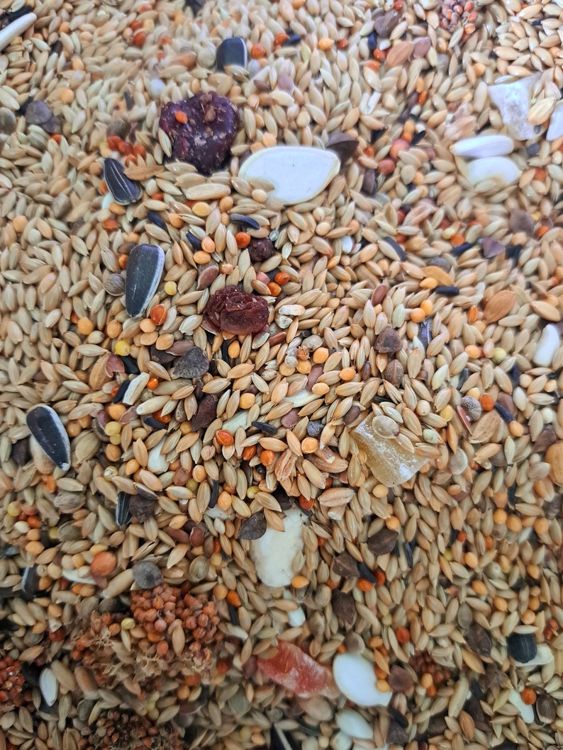 Mélange de graines perruches d'intérieur image 4