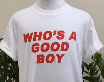 Who's A Good Boy Graphic Hoodie, Funny Meme Hoodie, Sarcastic Humor T-shirt, Gift For Him and Her, Trending Unisex Tee