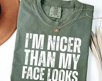 I'm Nicer Than My Face Looks Shirt, Funny Sarcastic Humor Hoodie, Relatable Meme Sweatshirt, Introvert Tee, One Star Review