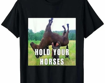 Hold Your Horses Shirt, Funny Raccoon Meme Hoodie, Sarcastic Horse Lover Sweatshirt, Humorous Animal Tee, Retro Graphic Shirt