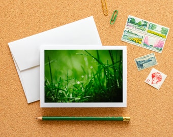 Carte de correspondance vierge - Herbe verte avec gouttes de pluie Carte de photographie d'art à encadrer avec enveloppe, 6,25 x 4,5 po (A6), macro PNW Nature papeterie