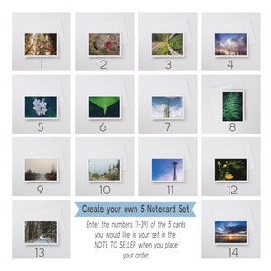 Make Your Own Blank Note Card Set Choose Any 5 Cards, Frameable Fine Art Photo Cards, 6.25x4.5 A6 Stationery Set Thinking of You imagem 2