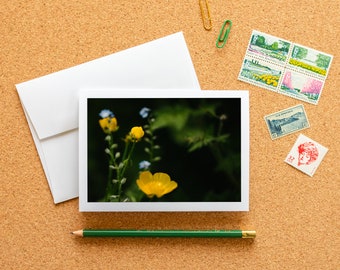 Carte de correspondance vierge - Petites fleurs sauvages, renoncules jaunes, carte photo artistique à encadrer avec enveloppe, 6,25 x 4,5 pouces (A6), papeterie nature fleurs