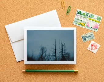 Carte de correspondance vierge - Carte de photographie d'art à encadrer Birds at Blue Hour avec enveloppe, 6,25 x 4,5 po (A6), PNW Nature Bird Papeterie