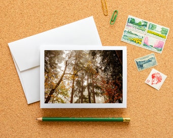 Blank Note Card - Autumn Trees in Fog Frameable Fine Art Photo Card with Envelope, 6.25"x4.5" (A6), Seasonal Nature Stationery, Fall Leaves