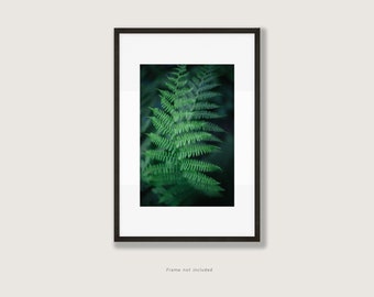 Green Ferns Fine Art Photo Print | Multiple Sizes Available | Pacific Northwest Nature Wall Art Home Decor