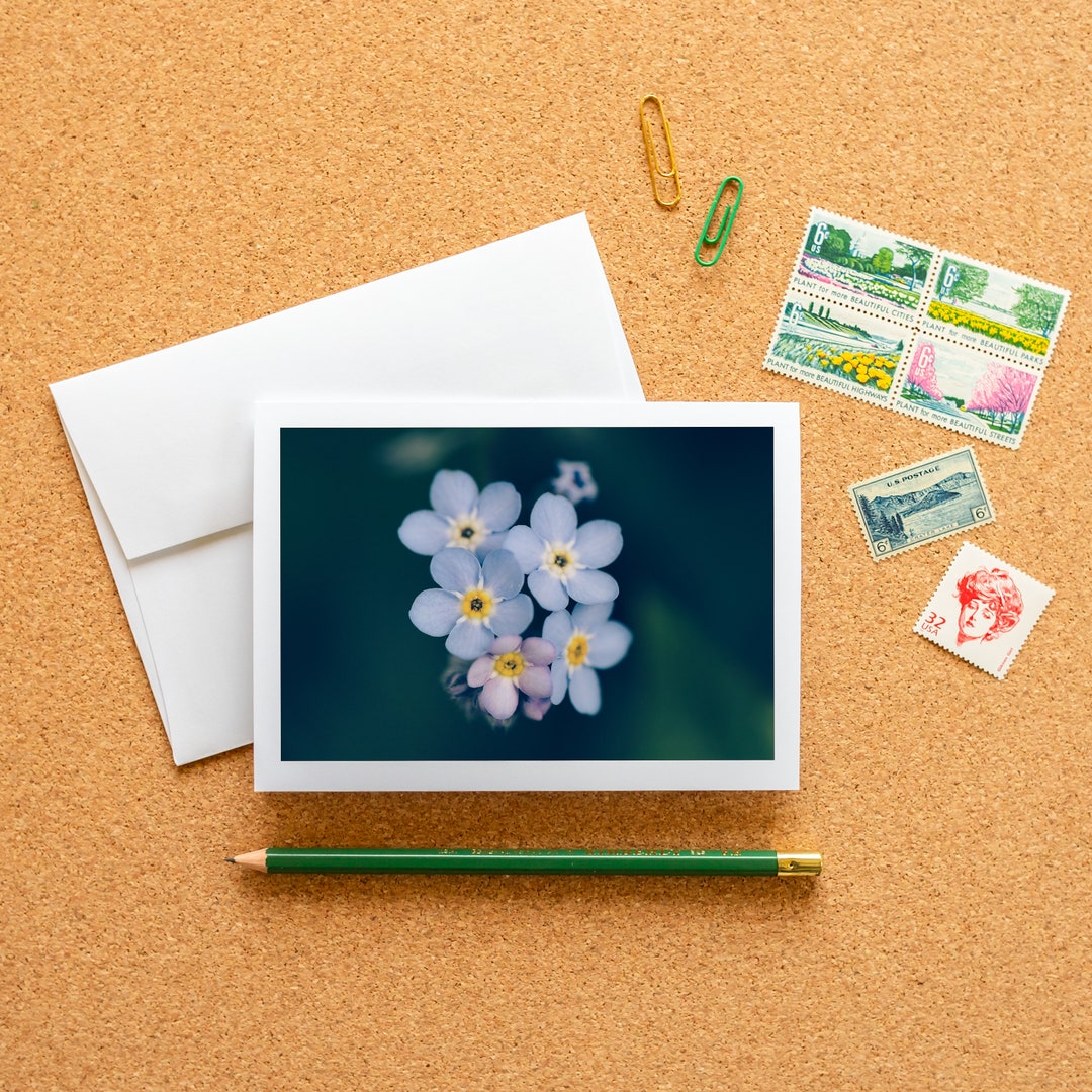 Blank Note Card Flowers Frameable Fine Art Photo Card