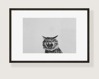 Ce chat est une impression de photographie d'art noir et blanc d'humeur | Plusieurs tailles disponibles | Décoration d'intérieur sans cadre | Portrait d'animaux