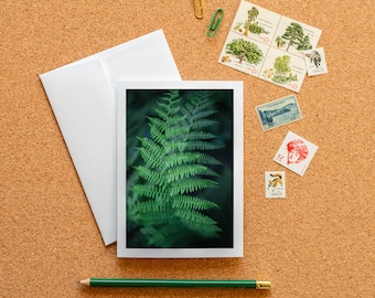 Blank Note Card - Green Ferns Frameable Fine Art Photo Card with Envelope, 6.25"x4.5" (A6), Moody Nature Stationery, Plant Lover