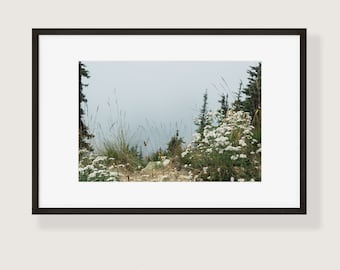 Mountain Flora in Fog Fine Art Photo Print | Multiple Sizes Available | Pacific Northwest Landscape Wall Art | Washington State Nature Decor