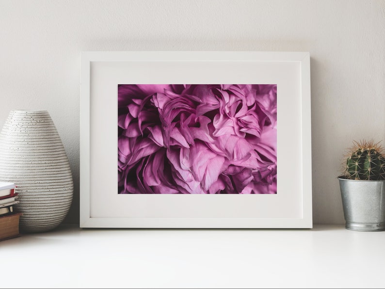 Lush Pink Peony Fine Art Photography Print Multiple Sizes Available Floral Botanical Wall Art Decor Macro Flower Photography image 3