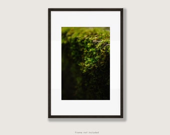 Moody Green Moss Fine Art Macro Photography Print | Multiple Sizes Available | PNW Forest Nature | Washington Cottagecore Gallery Wall Art
