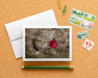 Blank Note Card - Red Autumn Maple Leaf on a Tree Stump Frameable Fine Art Photo Card with Envelope, 6.25"x4.5" (A6), Nature Stationery