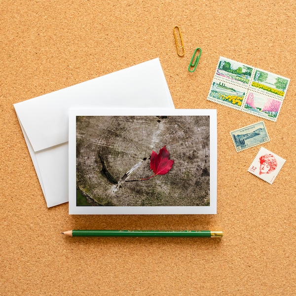 Blank Note Card - Red Autumn Maple Leaf on a Tree Stump Frameable Fine Art Photo Card with Envelope, 6.25"x4.5" (A6), Nature Stationery