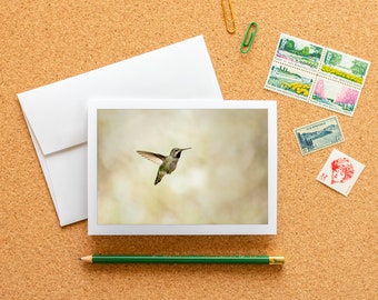 Blank Note Card - Anna's Hummingbird in Flight Frameable Fine Art Photography Card with Envelope, 6.25"x4.5" (A6), PNW Wildlife Stationery