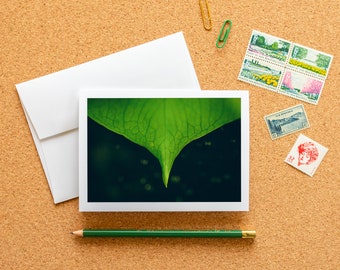 Blank Note Card - Macro Green Leaf with Bokeh Frameable Fine Art Photo Card with Envelope, 6.25"x4.5" (A6), Nature & Plant Stationery