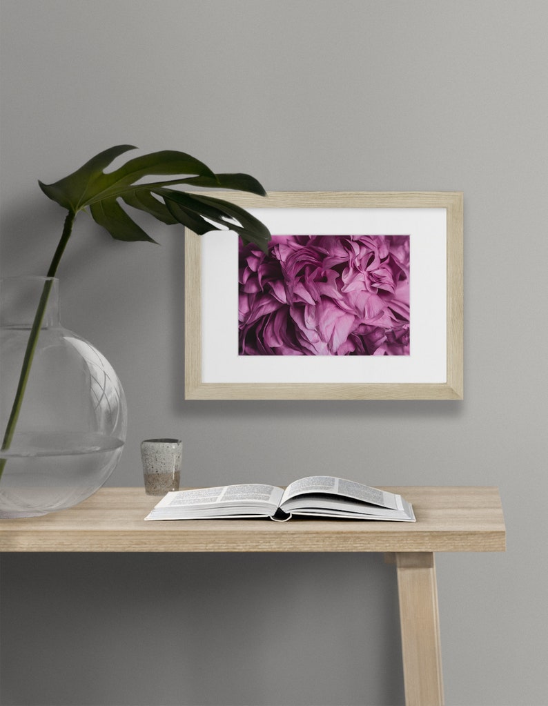 Lush Pink Peony Fine Art Photography Print Multiple Sizes Available Floral Botanical Wall Art Decor Macro Flower Photography image 4