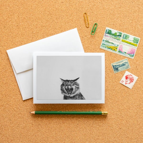 Blank Note Card - This Cat is a Mood, Frameable Fine Art Photography Card with Envelope, 6.25"x4.5" (A6), Pen Pal Stationery Gift