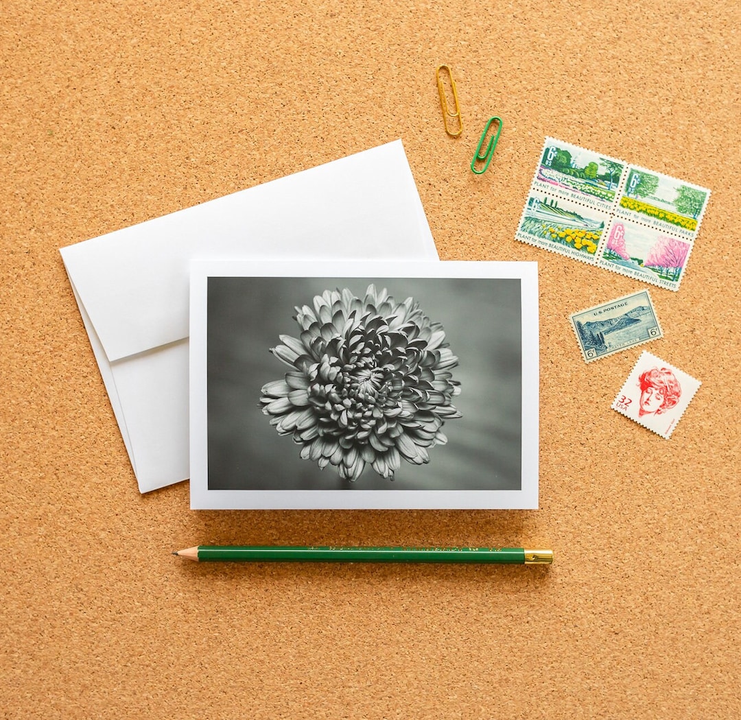 Blank Note Card - Black & White Chrysanthemum Frameable Fine Art ...