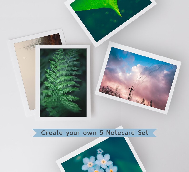 Make Your Own Blank Note Card Set Choose Any 5 Cards, Frameable Fine Art Photo Cards, 6.25x4.5 A6 Stationery Set Thinking of You imagem 1