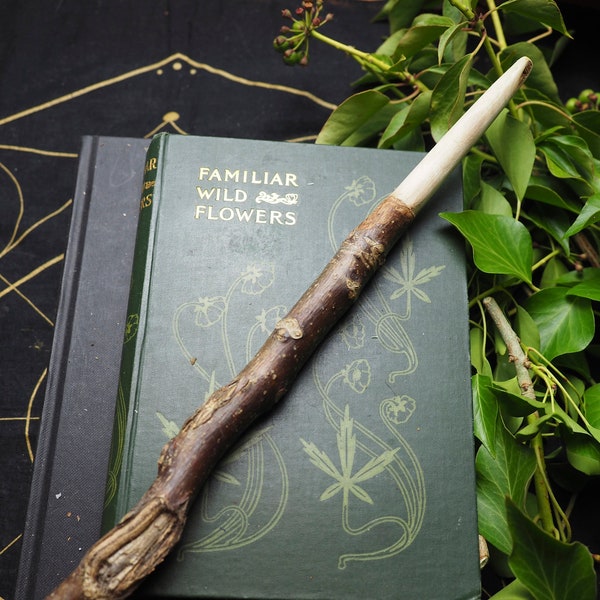 English Walnut Wood Wand - Protection - breaking psychic ties- Pagan, Wicca, Witchcraft