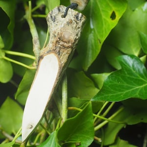 Cornish Holly Wood Athame Pendant: For Protection from Challenges, Witchcraft