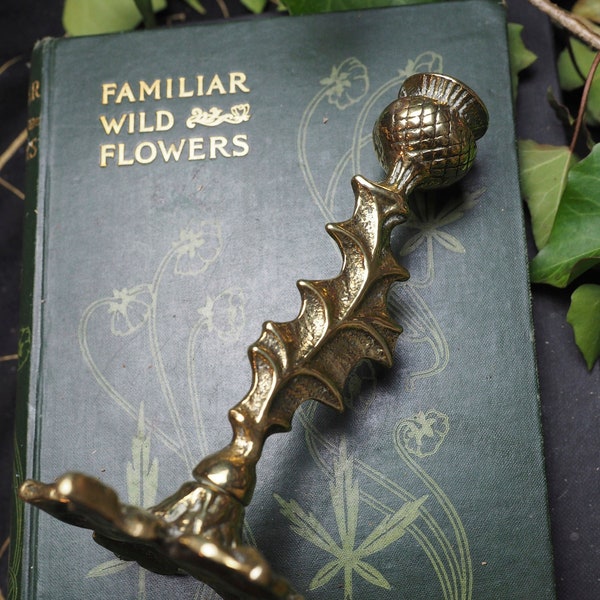 Impresionante soporte de candelabro de cardo de latón vintage - escocés, escocés - pagano, wicca, brujería