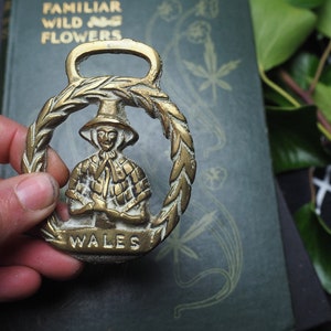 Vintage or Antique Welsh Jenny Jones, Horse Brass Wales Folk Magic, British, Pagan, Welsh image 3