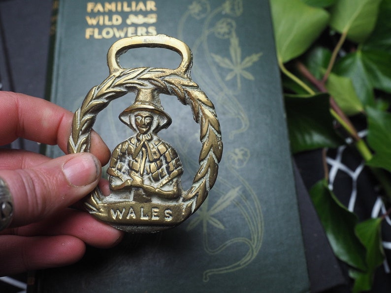 Vintage or Antique Welsh Jenny Jones, Horse Brass Wales Folk Magic, British, Pagan, Welsh image 3